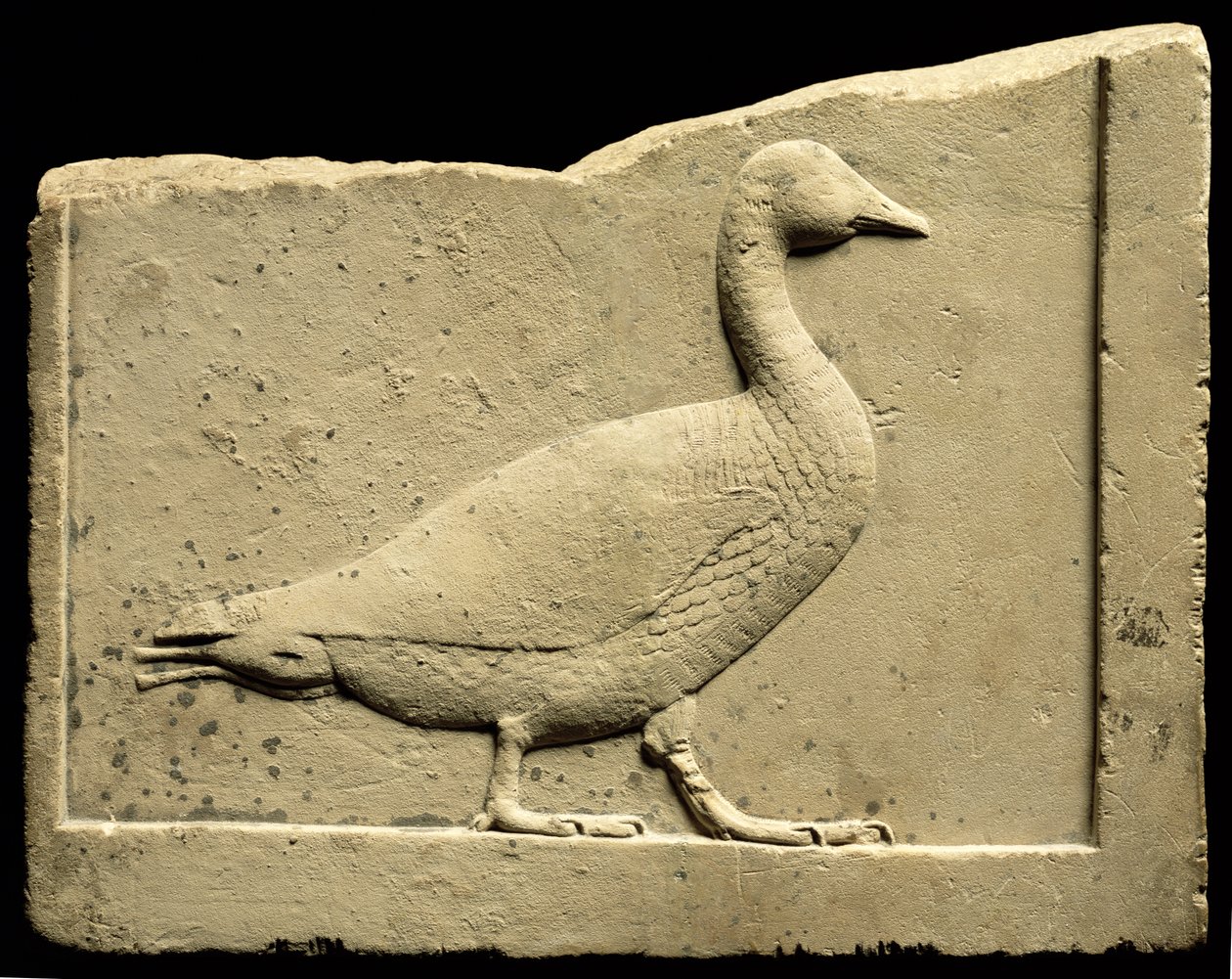 Bir kazı gösteren kabartma (kireçtaşı) by Egyptian Ptolemaic Period