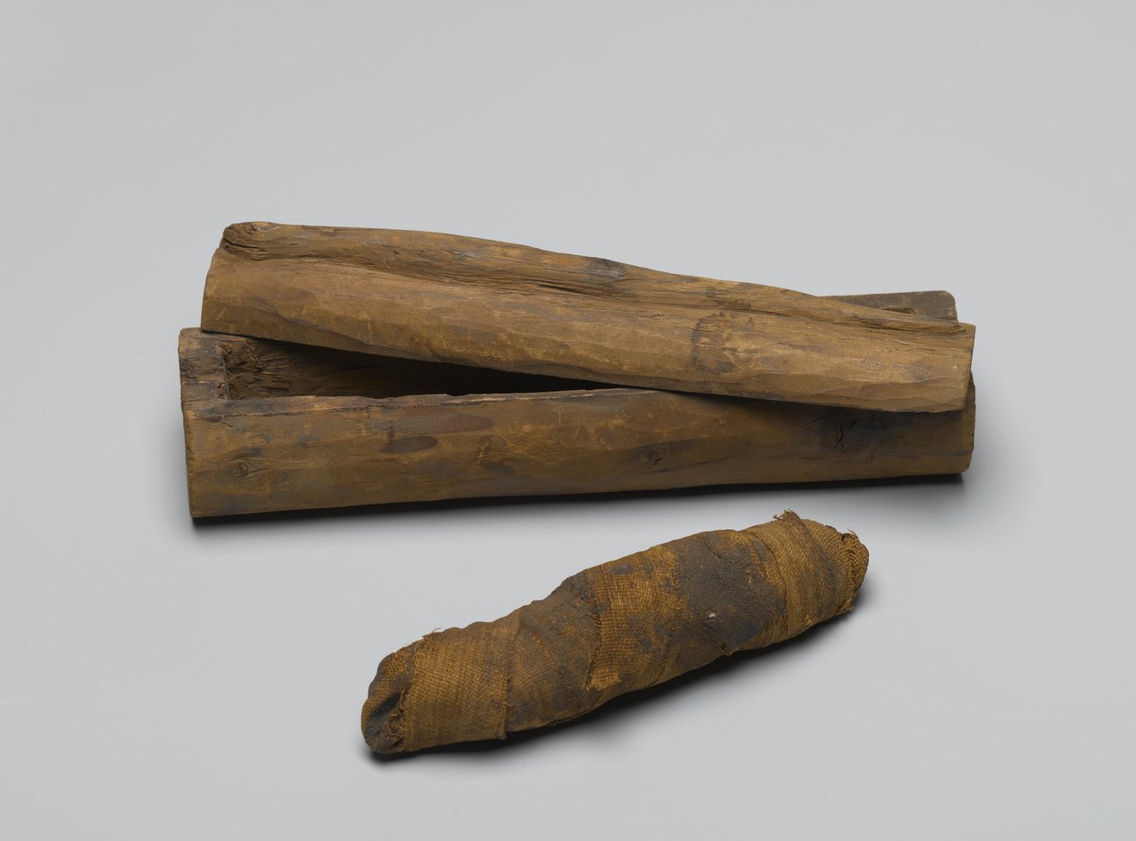 Küçük yılan tabutu, mumyalı, MÖ 664-322 (tahta, hayvan kalıntıları ve keten) by Egyptian School