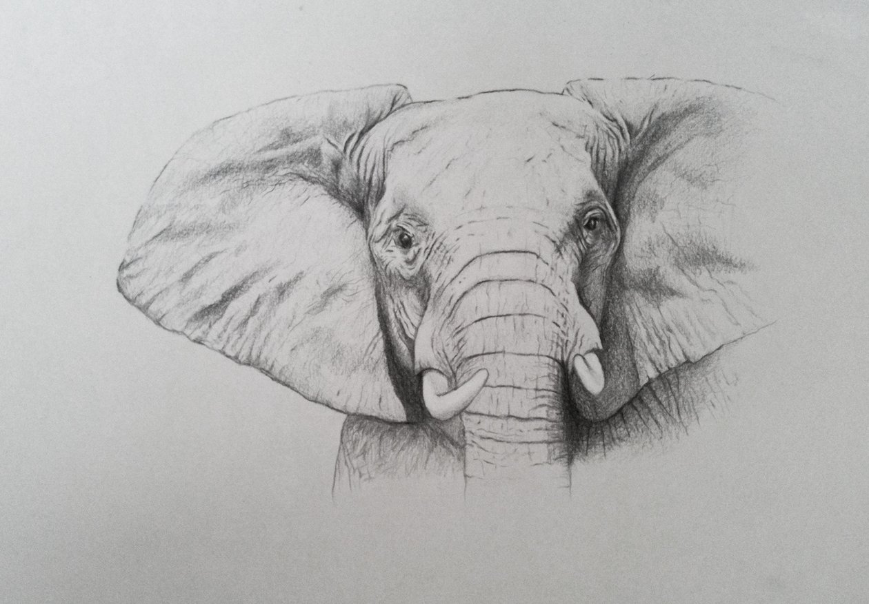  by Eleanor Grafton