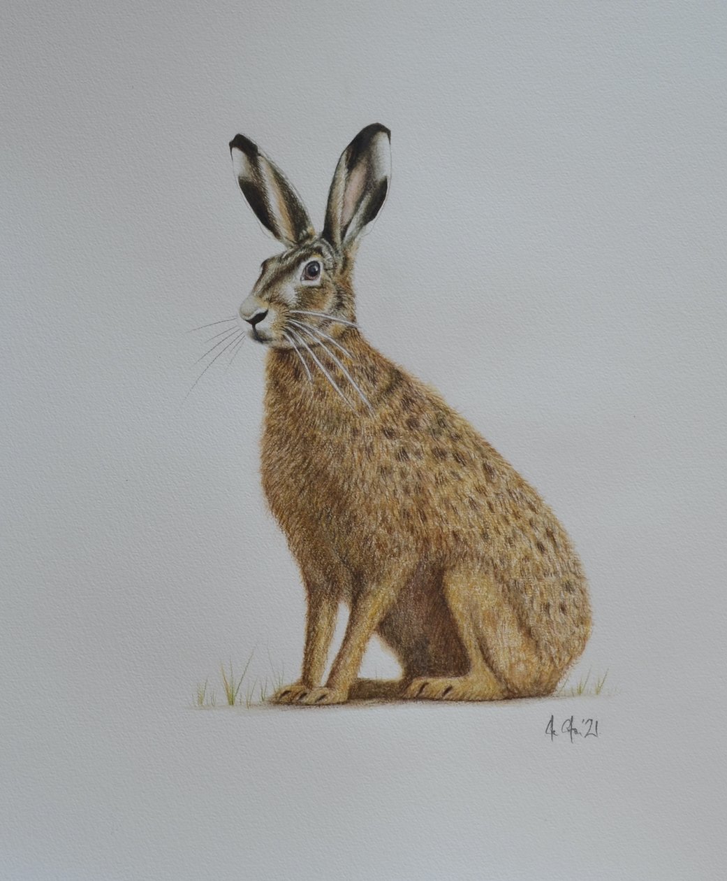  by Eleanor Grafton