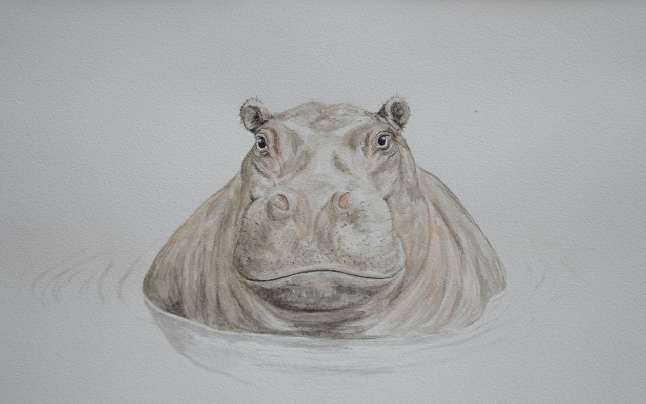  by Eleanor Grafton