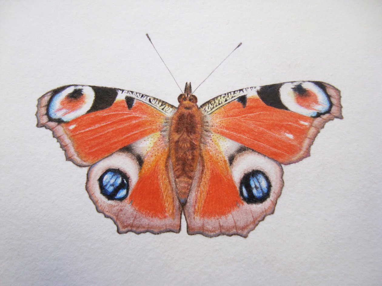  by Eleanor Grafton