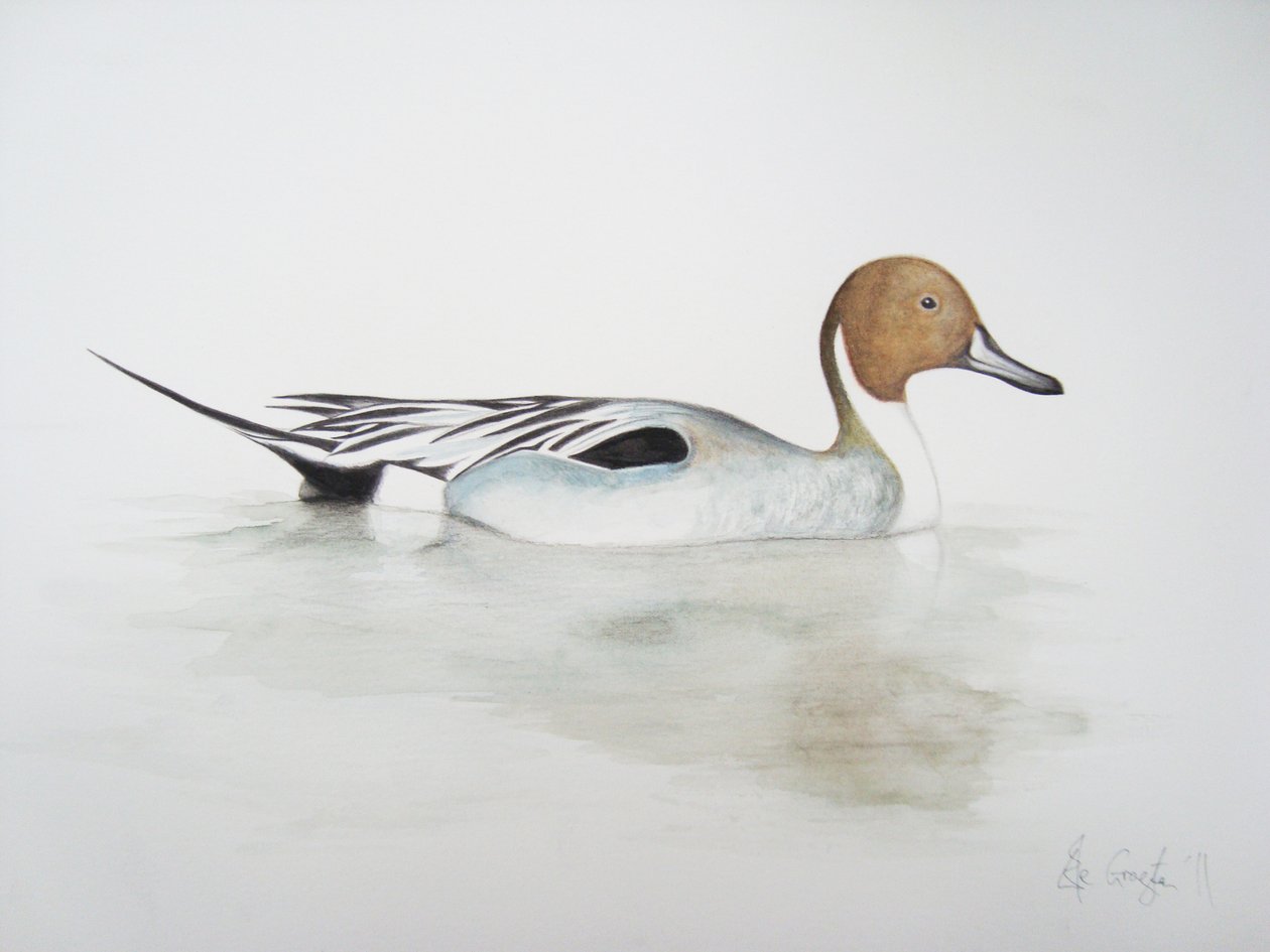  by Eleanor Grafton