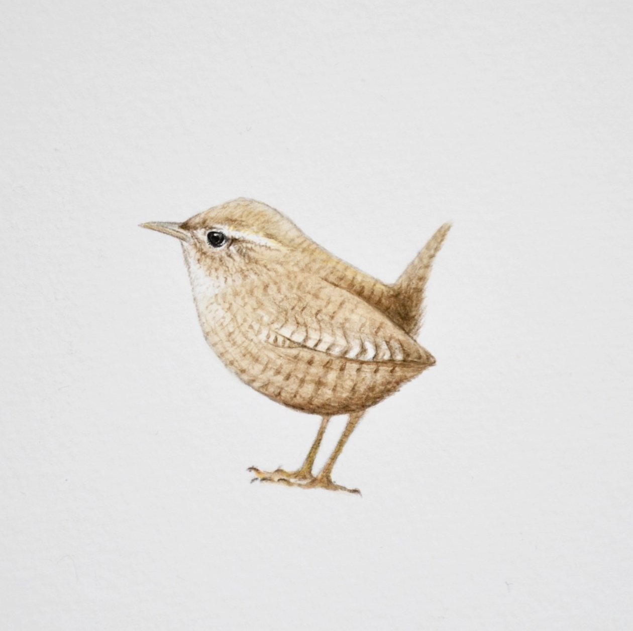  by Eleanor Grafton