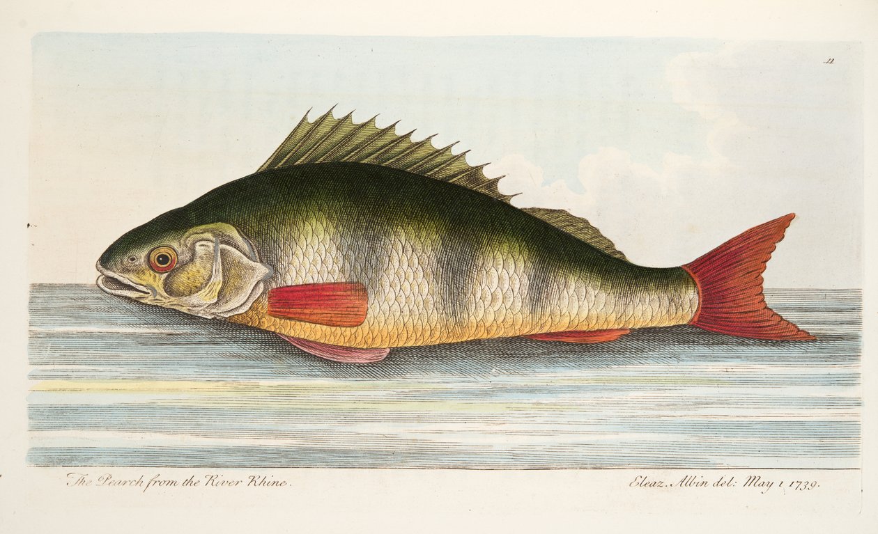 A Treatise on Fish and Fish-ponds, pub