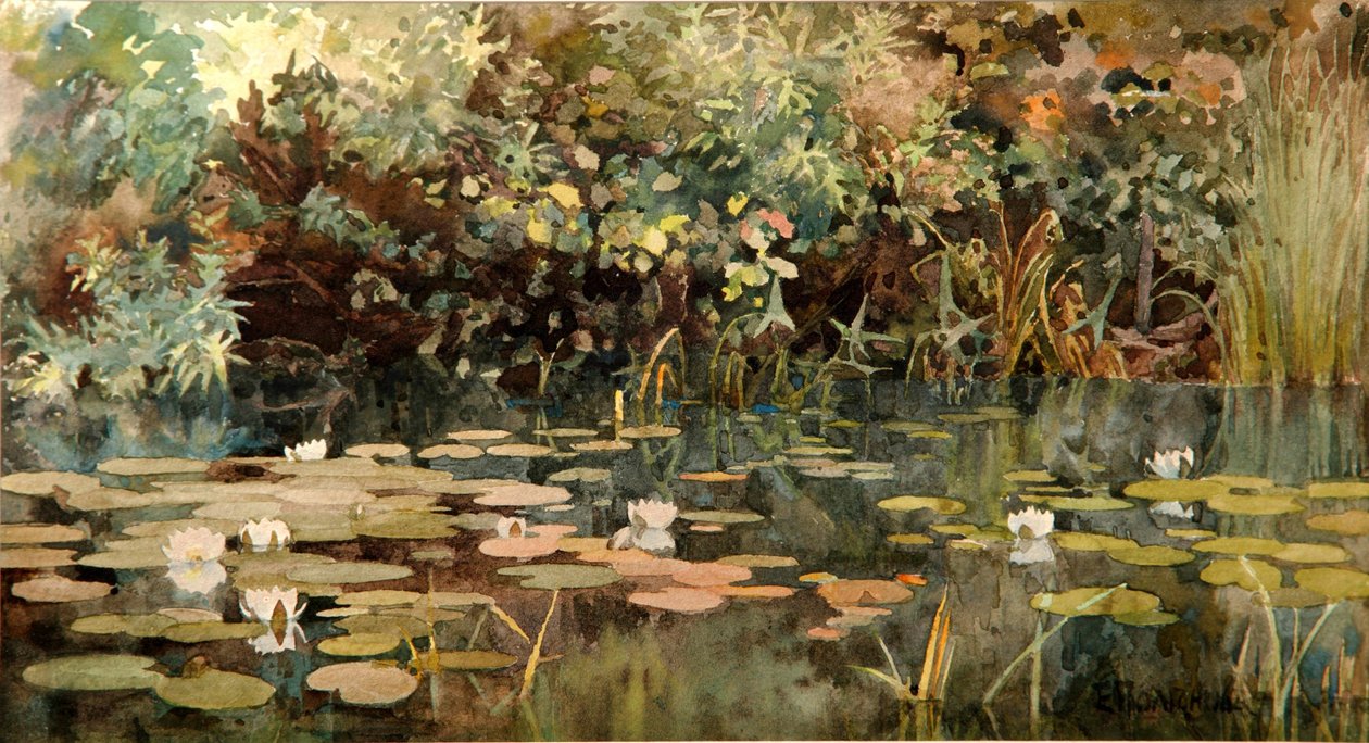 Nilüferli Gölet, 1890