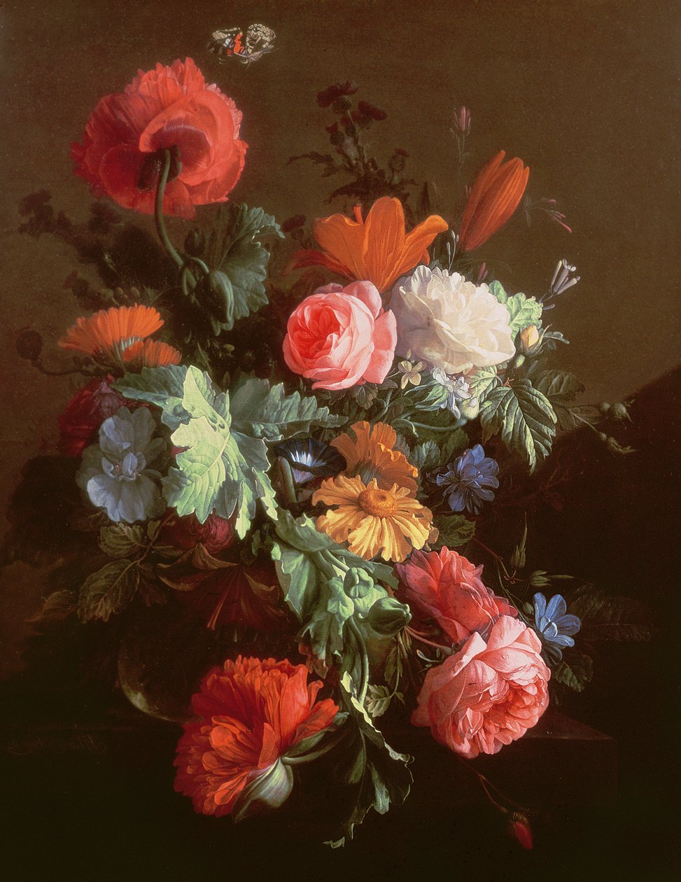 Amapupi, Amaroza, Lili, Daisies, Convolvulus n