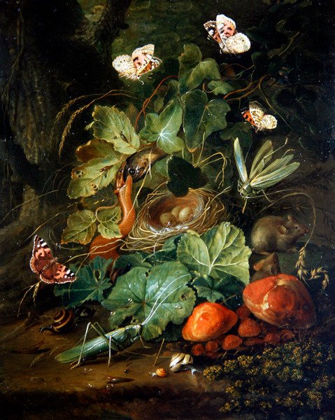 Orman Tabanı Meyveli Kelebekli Natürmort (panel üzeri yağlı boya) by Elias van den Broeck
