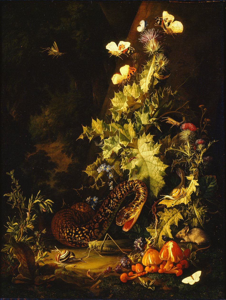 Yılanlı Natürmort, 18. Yüzyılın Başları by Elias van den Broeck
