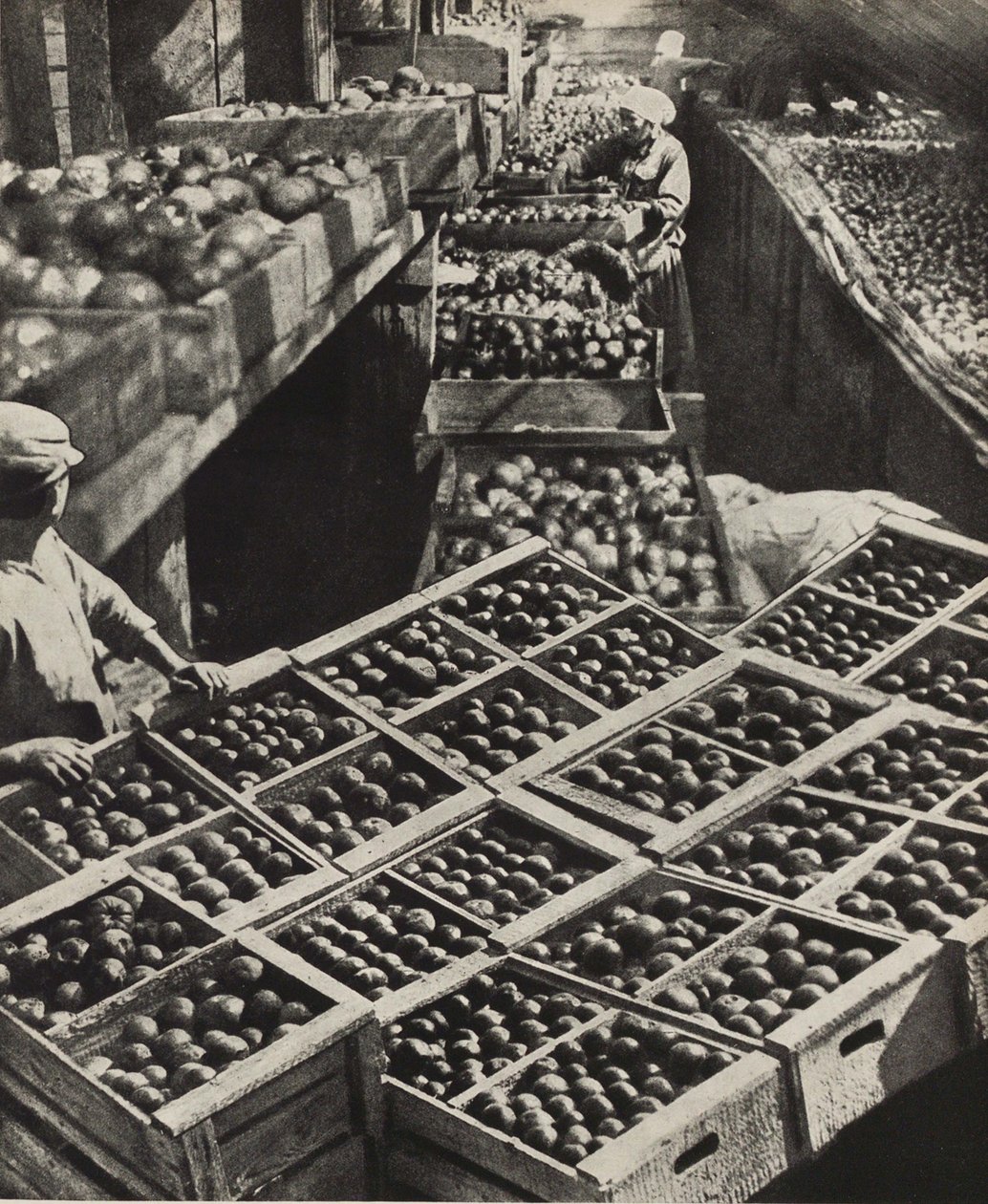 Kızıl Bahçıvan kolektif çiftliği. SSCB Sosyalizmi İnşa Eder, 1933