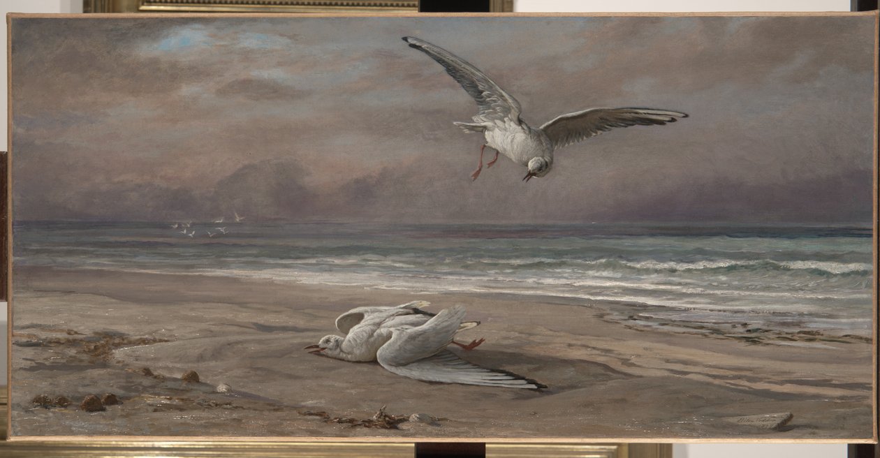 Ölen Deniz Martısı, 1879 by Elihu Vedder