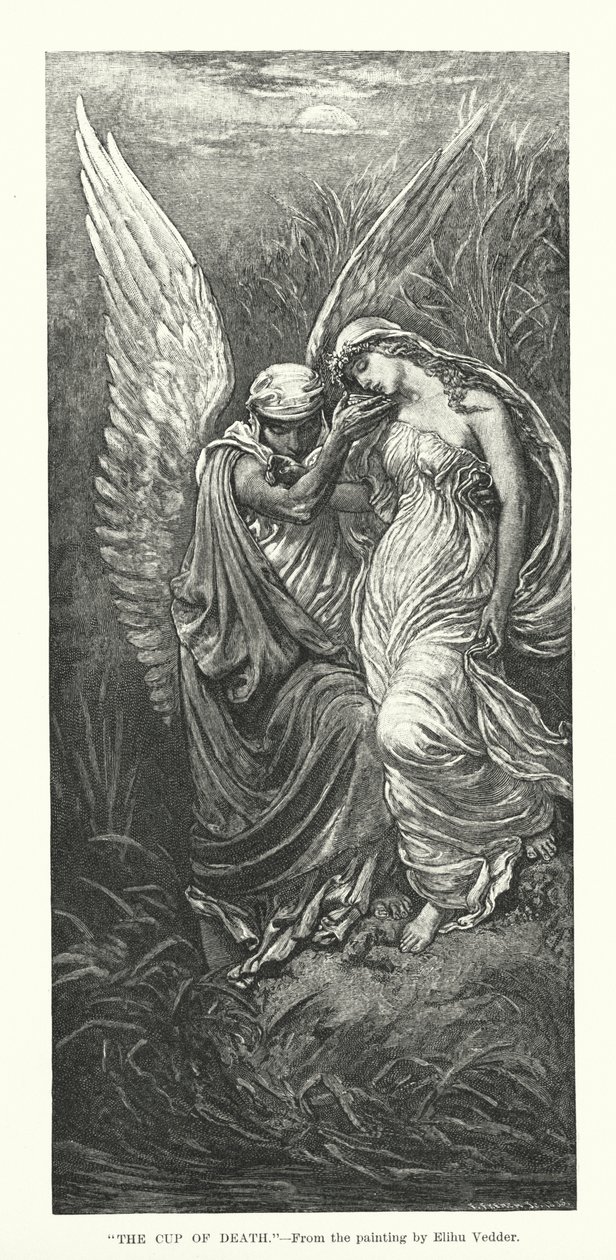  by Elihu Vedder