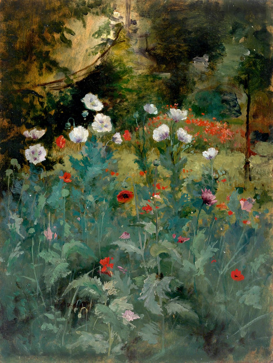 Haşhaşlar, 19. yüzyılın sonları ve 20. yüzyılın başlarında. by Eliphalet Frazer Andrews