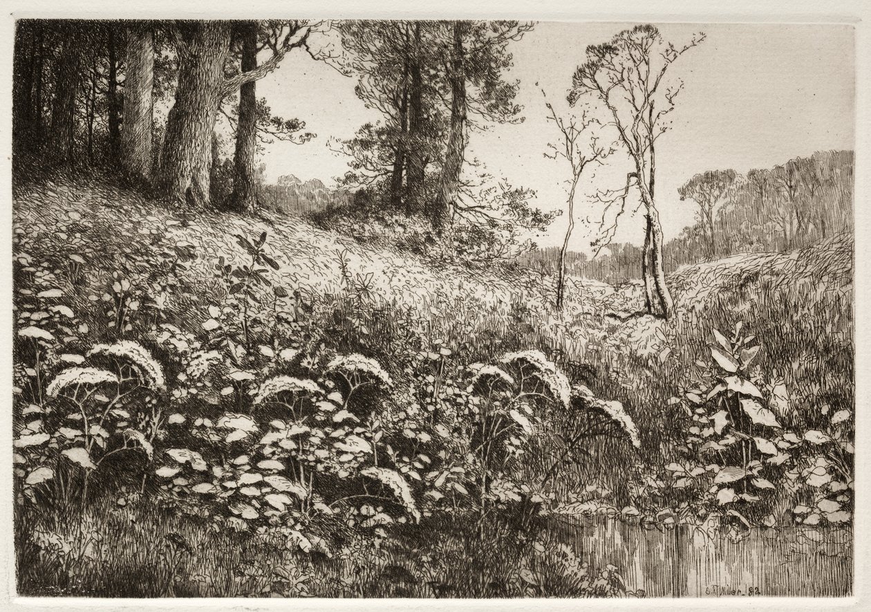 Bir Yaz Öğleden Sonrası by Elis F. Miller