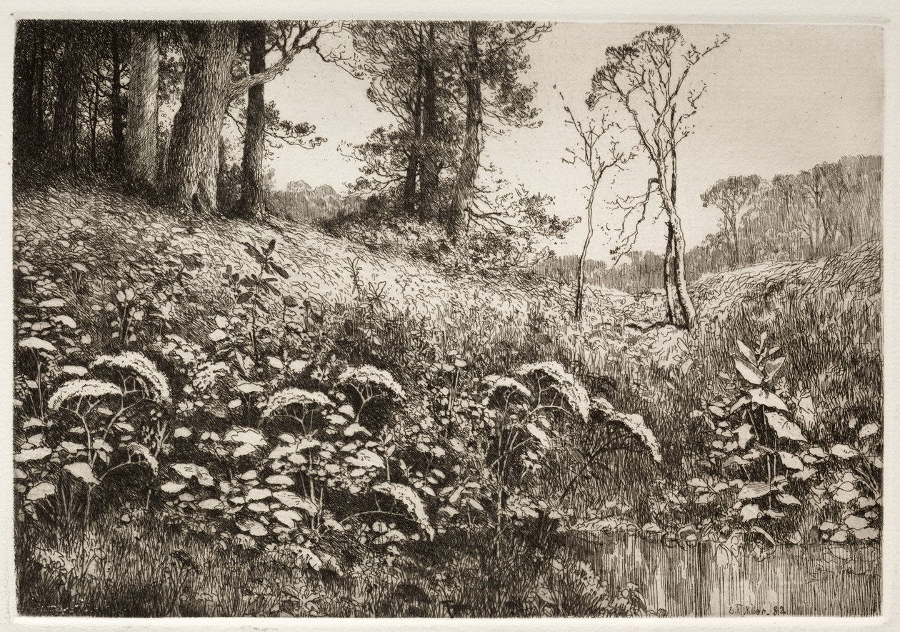 Bir Yaz Öğleden Sonrası, 1882. by Elis F. Miller