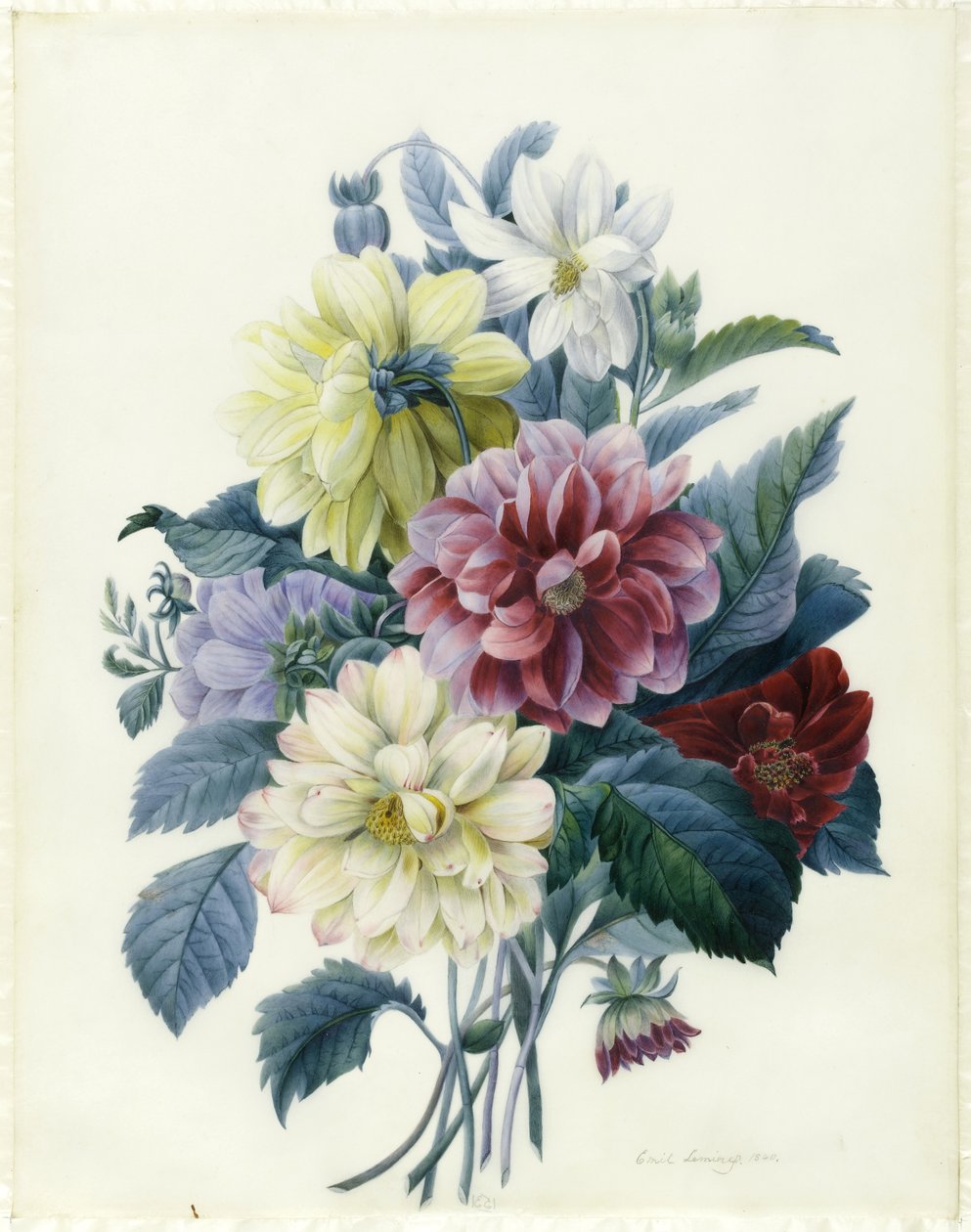 Karışık Dahlias, 1840 (klozet ve gövde rengi parşömen üzerine) by Elisa Emilie Lemire