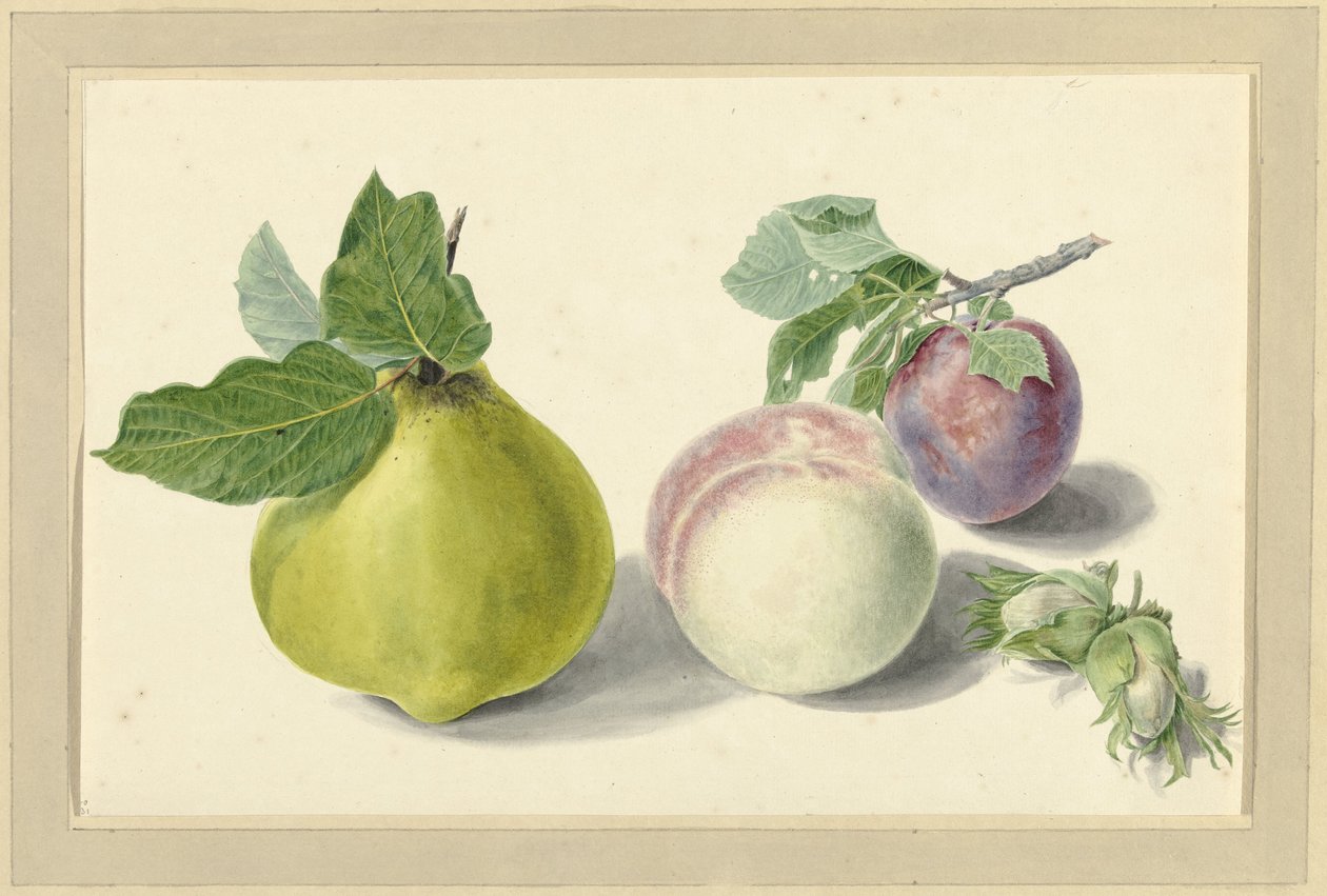 Bir armut, şeftali, erik ve fındık by Elisabeth Geertruida van de Kasteele