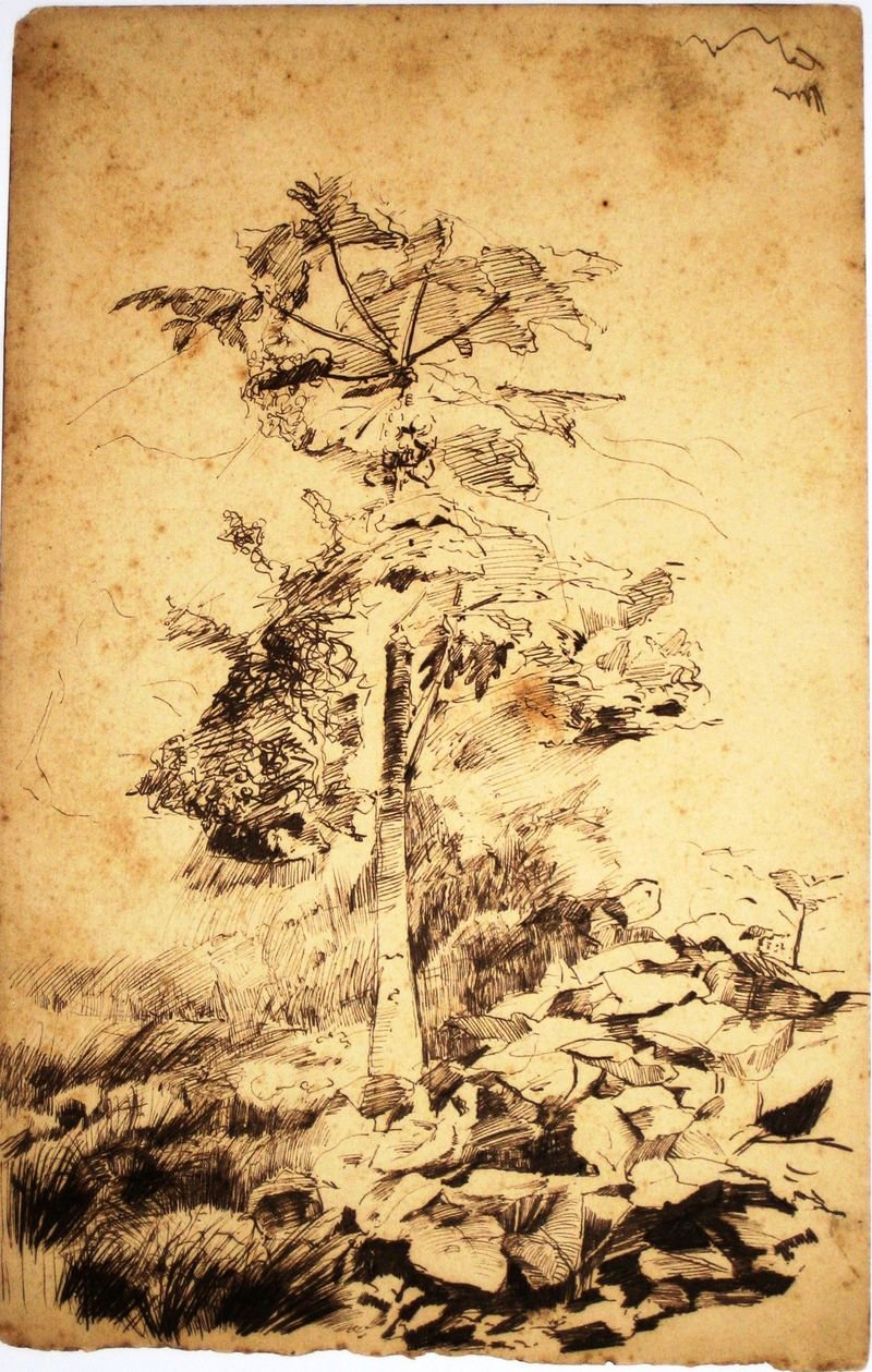 Papaya ağacı by Eliseu Visconti