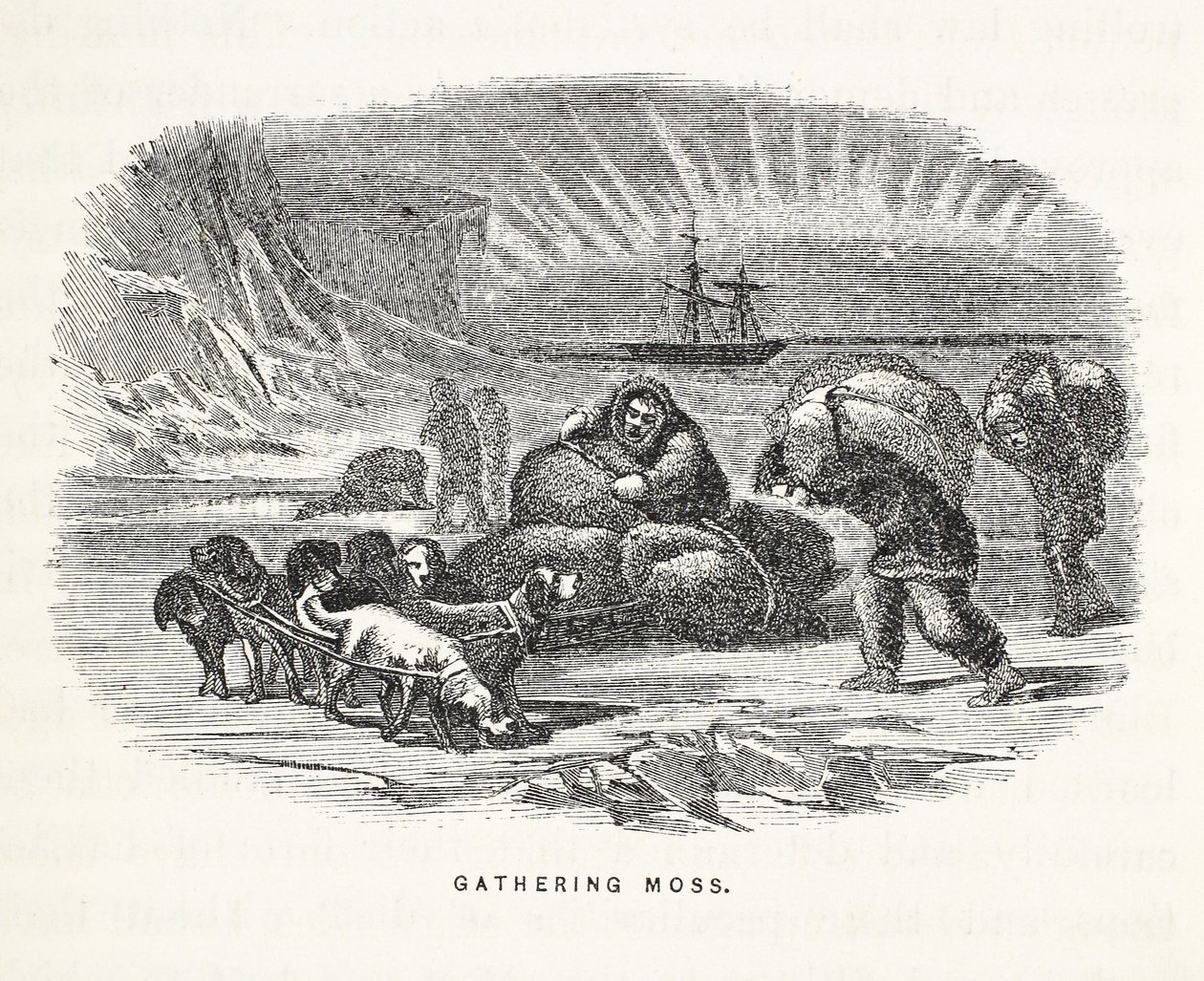 Moss Toplama, 'Sir John Franklin'i Ararken İkinci Grinnell Expedition...'dan bir örnek, 1856 by Elisha Kane
