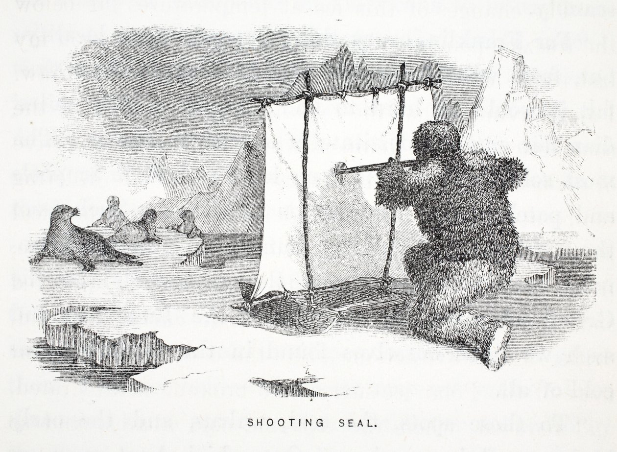 Shooting Seal, 