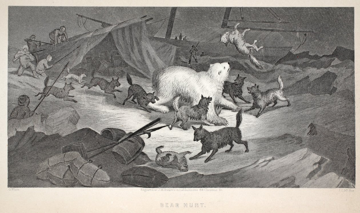 Bear Hunt, 'Sir John Franklin'i Ararken İkinci Grinnell Seferi'nden bir çizim, 1856 by Elisha Kane