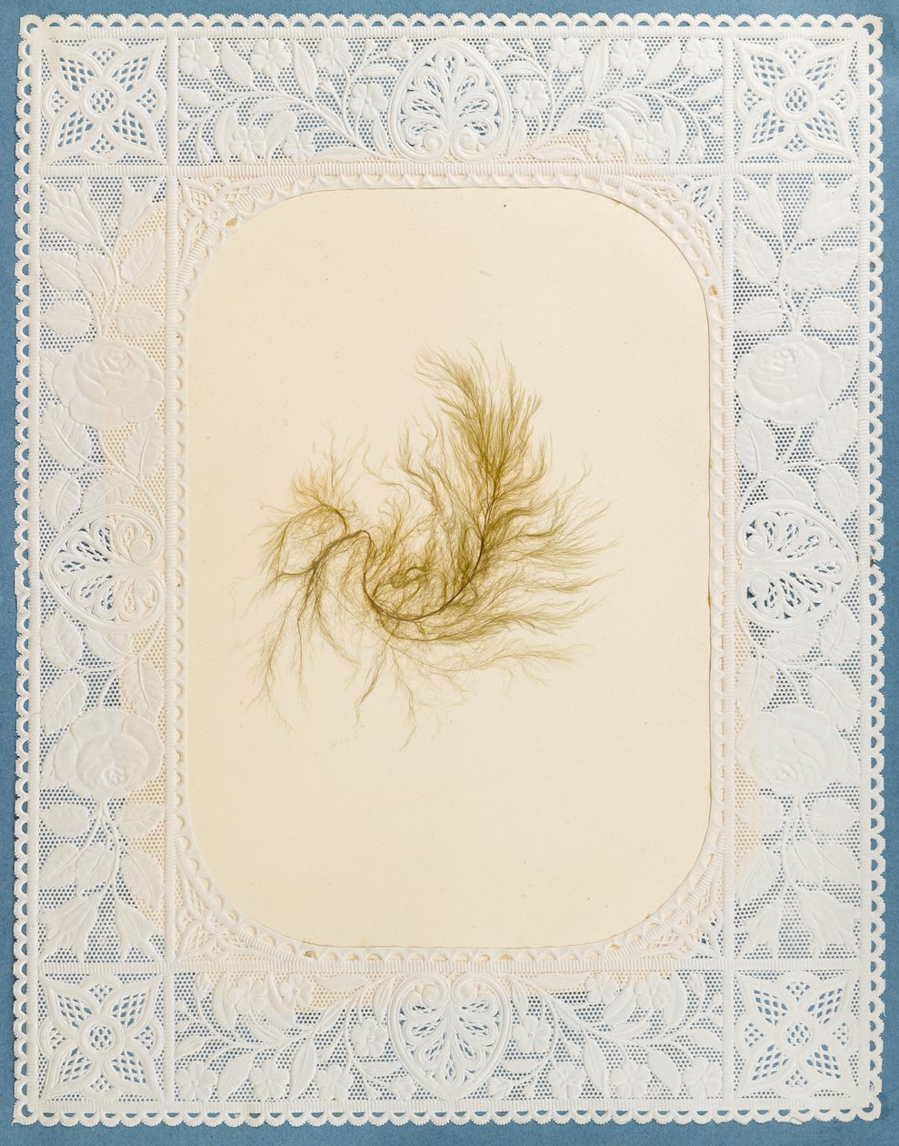 Yosunlar by Eliza A. Jordson