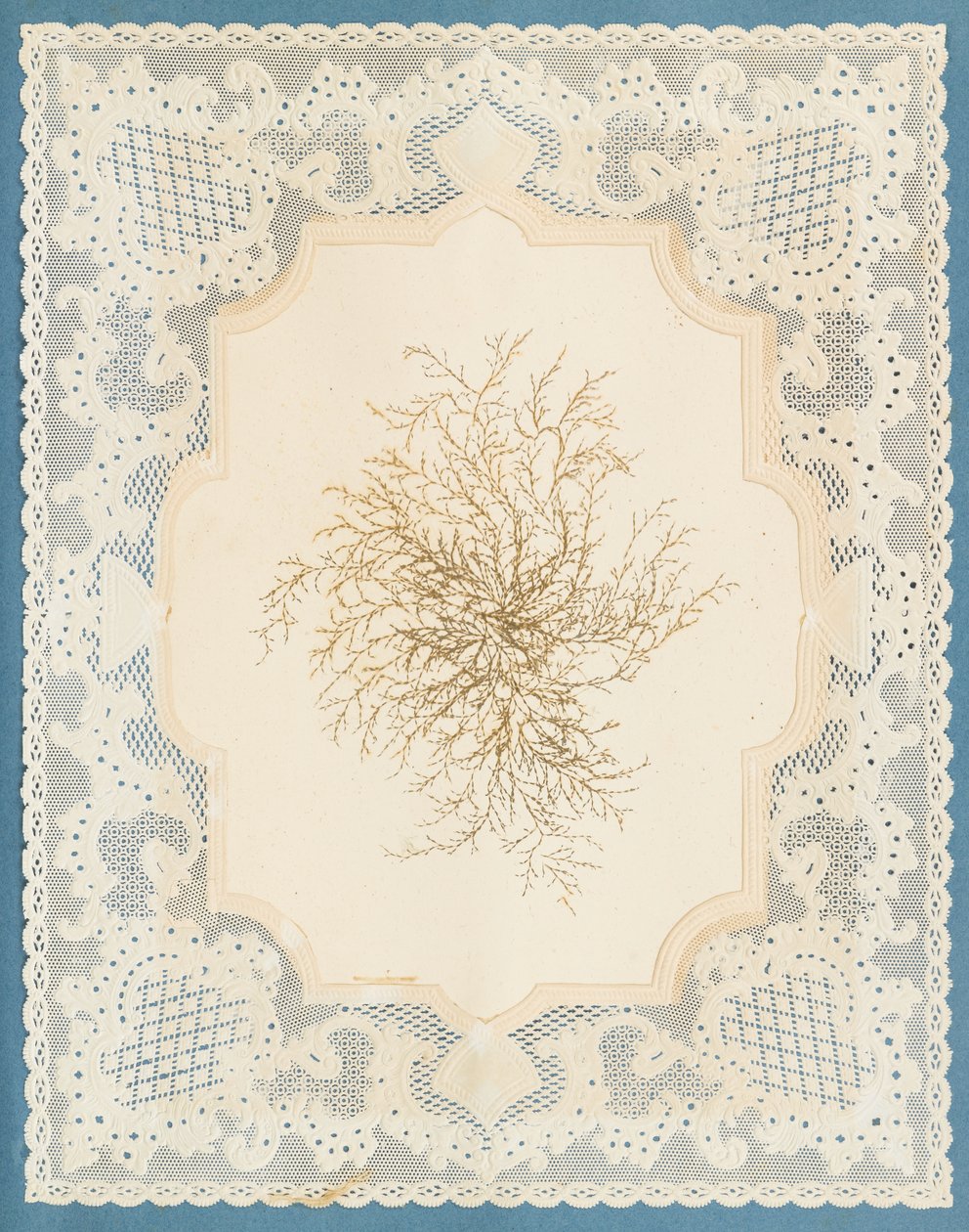Yosunlar by Eliza A. Jordson