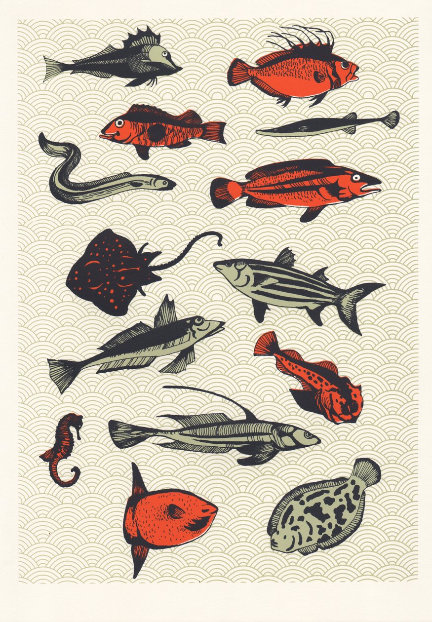 Turuncu Japon Balığı, 2015 (ekran baskısı) by Eliza Southwood