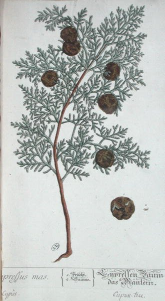 1757