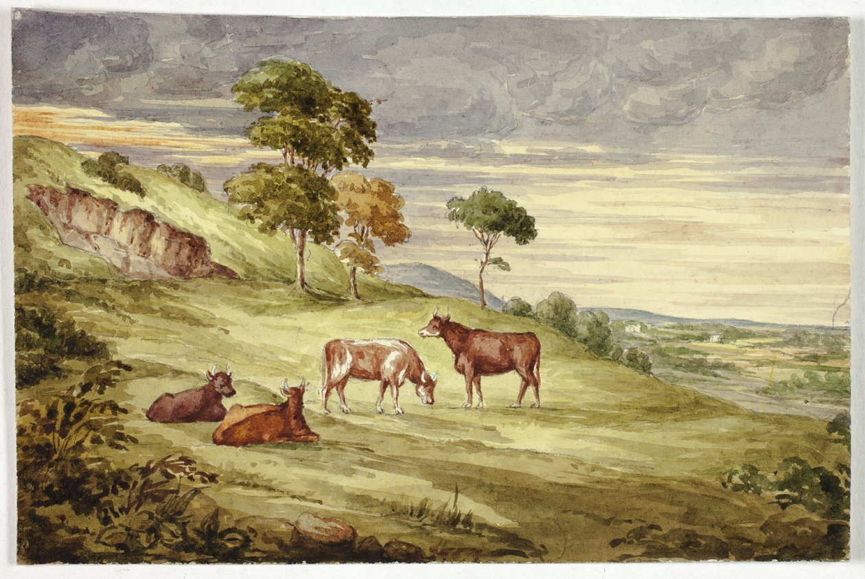 Geyik Parkı, muhtemelen Kilkenny by Elizabeth Murray