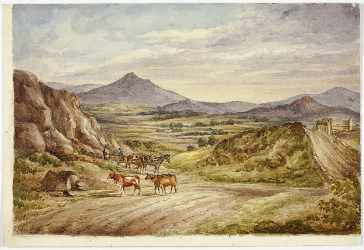 Wicklow Tepeleri by Elizabeth Murray