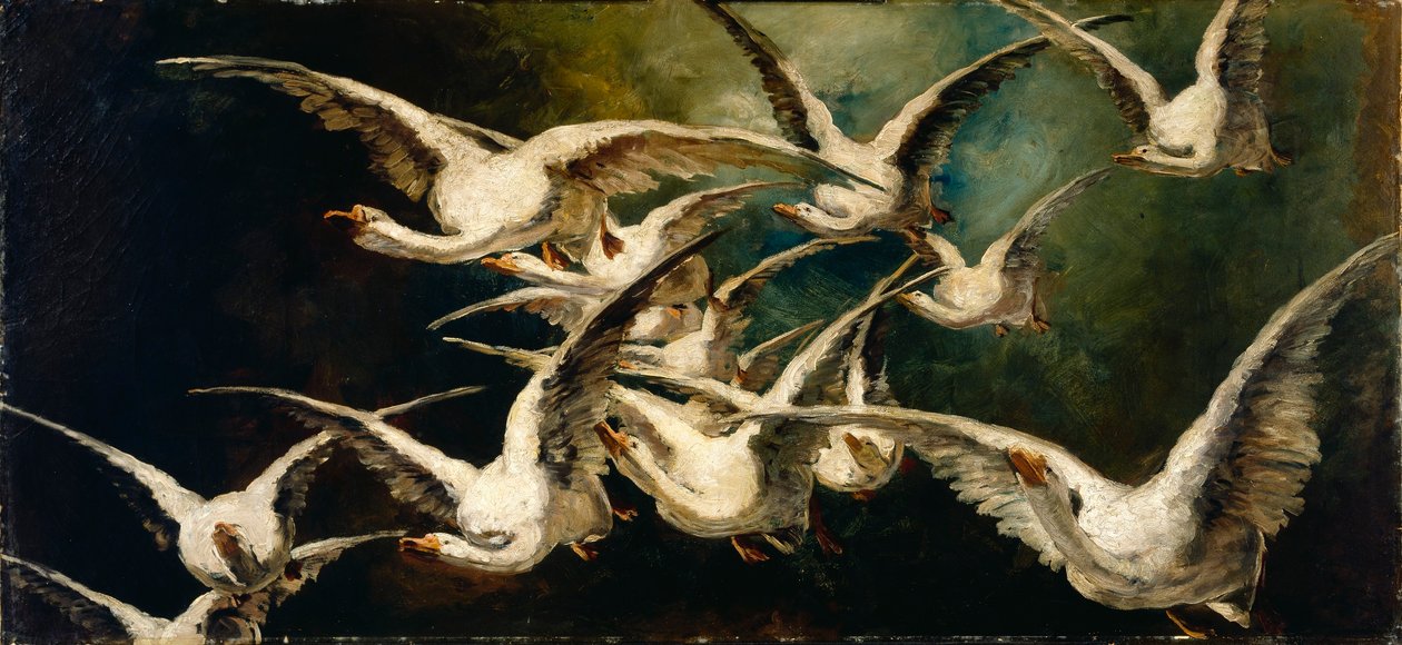  by Elizabeth Nourse