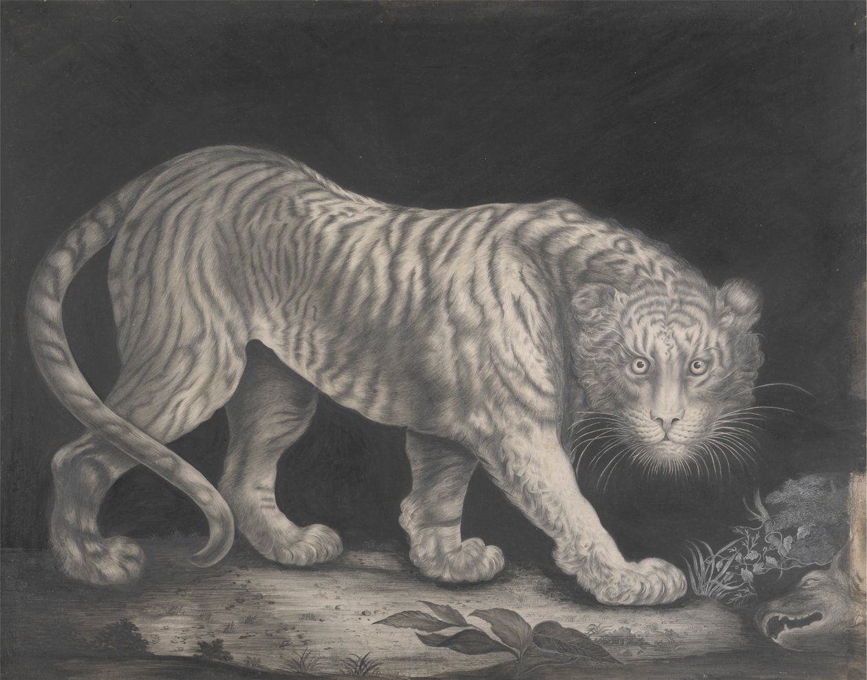 Bir Sinsi Kaplan by Elizabeth Pringle