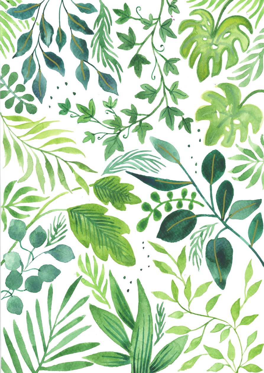  by Elizabeth Rider