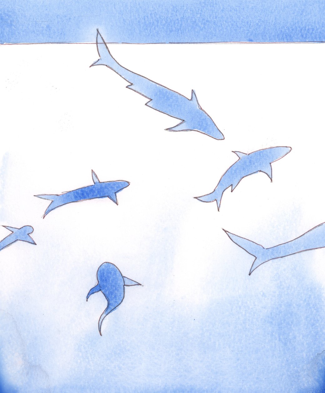 Tanrı yaşayan ve nefes alan her şeyi yarattı - köpekbalıkları, tarantulalar ve öldüren diğer canlıları bile, 2005 (kağıt üzerine suluboya) by Elizabeth Wang