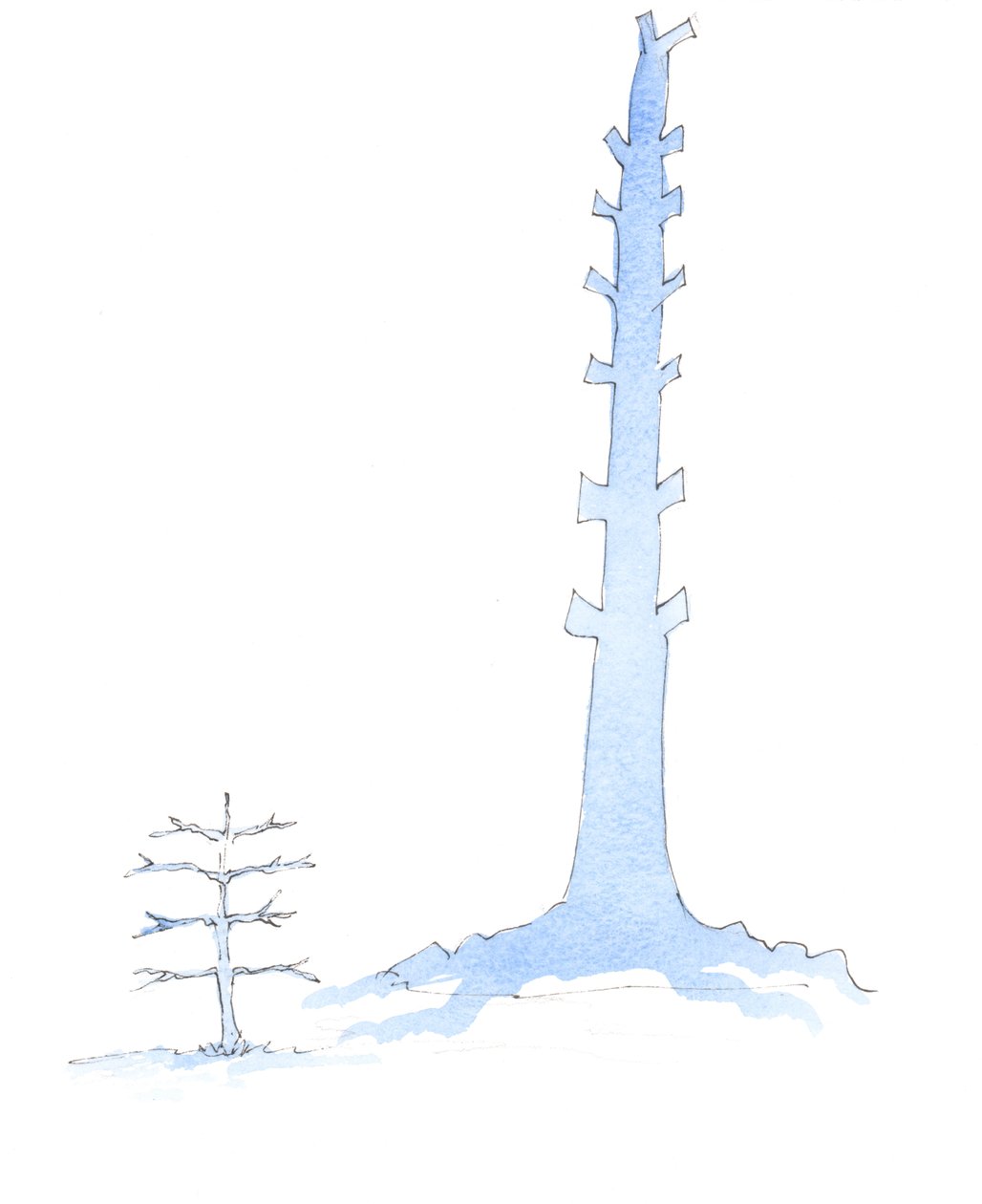 Kilise büyüdü, dev bir meşenin bir fidandan çıkması gibi, 2003 (kağıt üzerinde w/c) by Elizabeth Wang