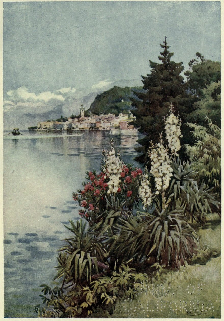 Bir Grup Yuccas, Villa Melzi, Lago di Como, Richard Bagot