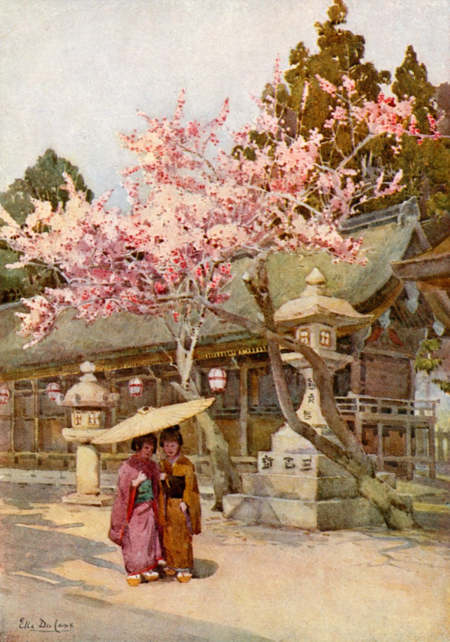  by Ella Du Cane