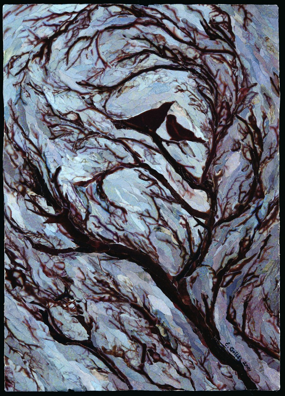 Fırtınalı Gün, Greenwich Park, 2001 (kağıt mozaik kolaj) by Ellen Golla