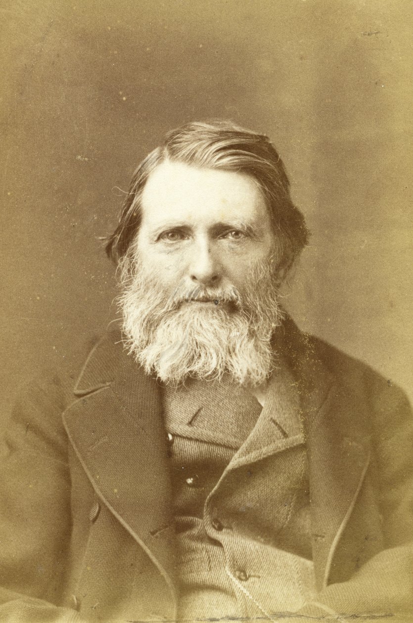 John Ruskin, 1882 (albüm baskısı) by Elliott und Fry Studio