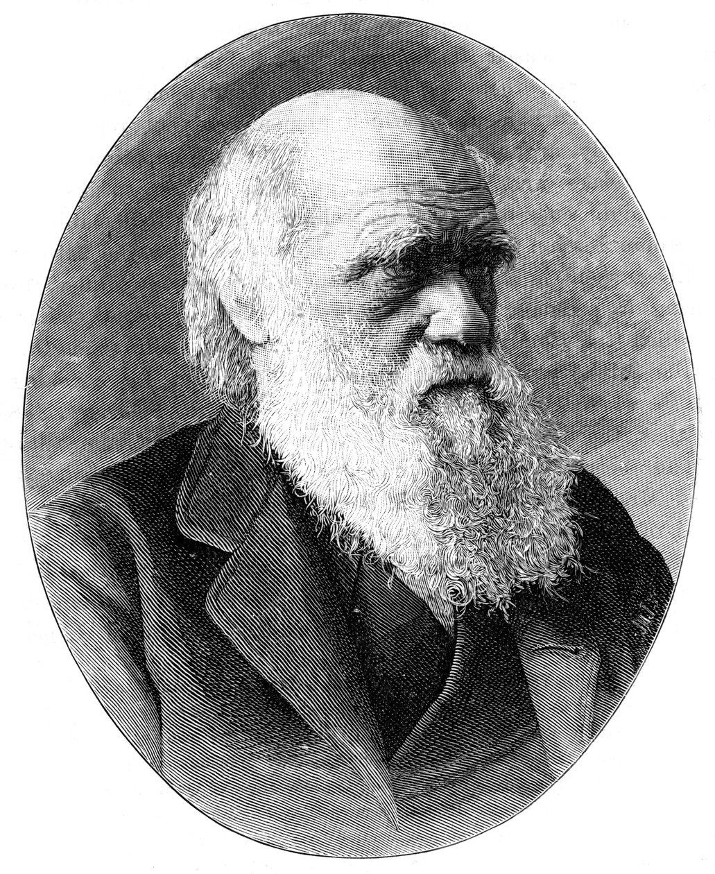 Charles Darwin, 19. yüzyıl İngiliz doğa bilimci, 1900. by Elliott and Fry