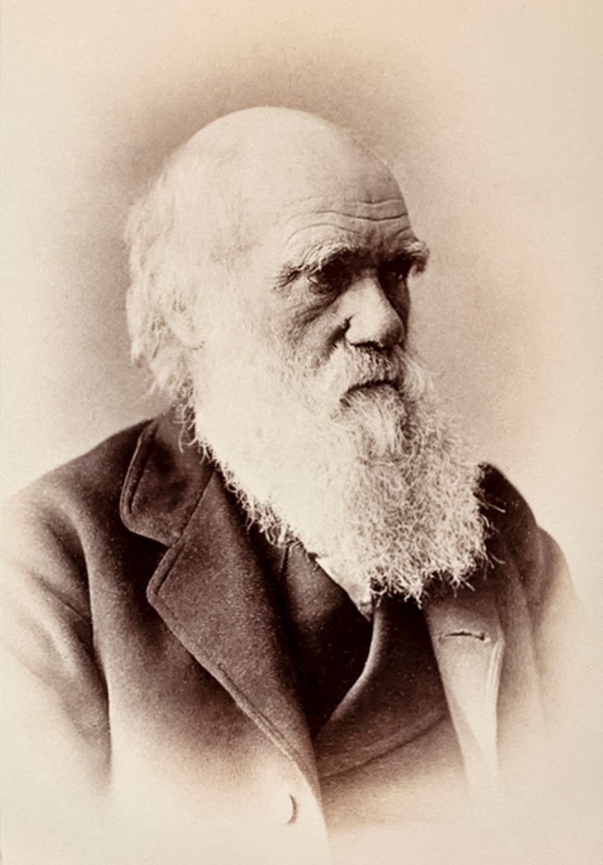 Charles Darwin: İngiliz doğa bilimci by Elliott und Fry Studio