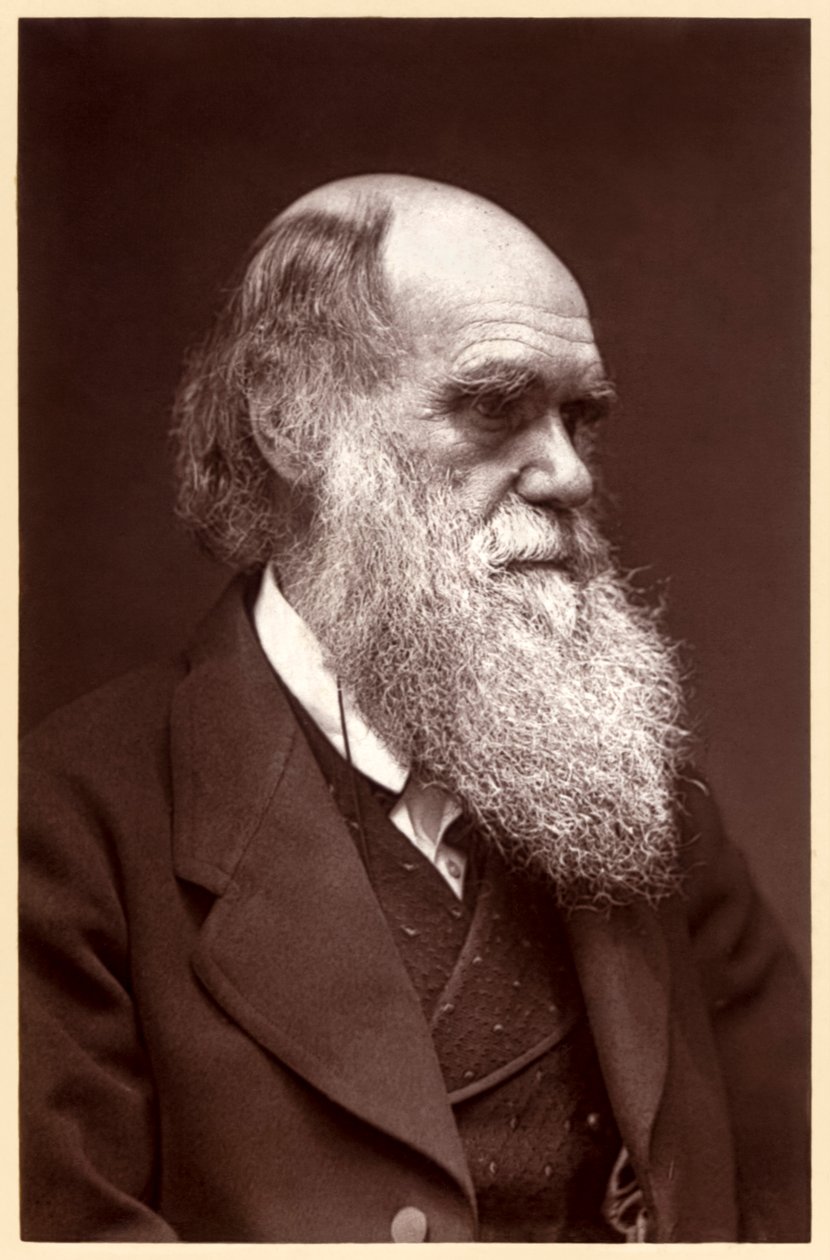 Charles Darwin: İngiliz doğa bilimci by Elliott und Fry Studio
