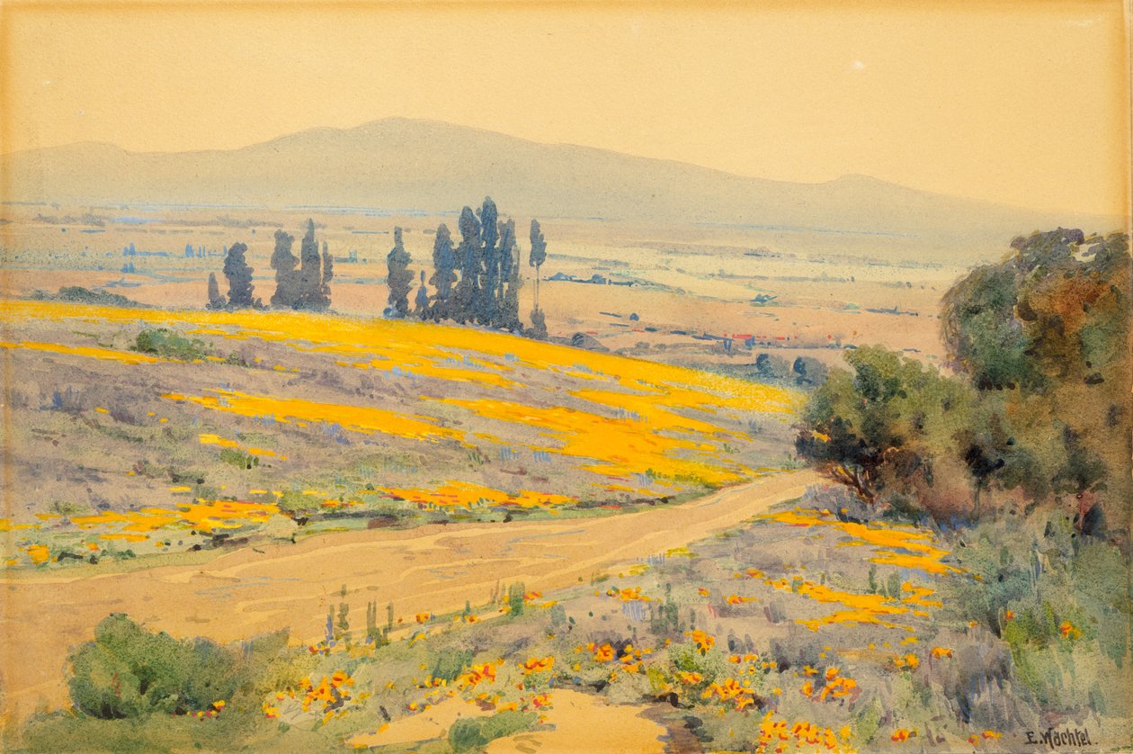 Kaliforniya Bahar Manzarası, yaklaşık. 1920. by Elmer Wachtel