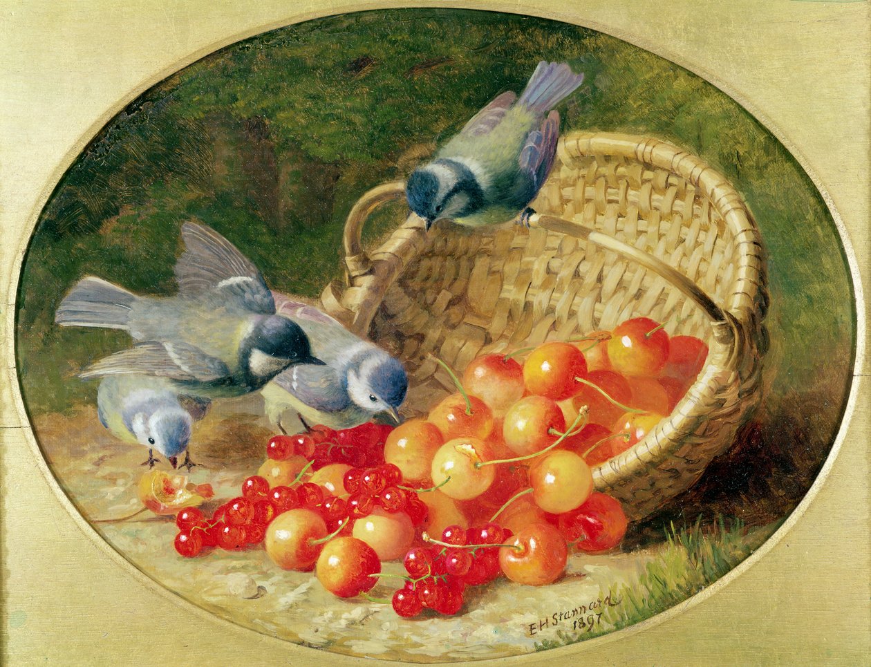 Kirazları gagalayan mavi göğüsler, 1897 by Eloise Harriet Stannard