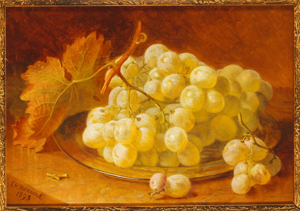 Gümüş Tabakta Üzüm, 1893 by Eloise Harriet Stannard
