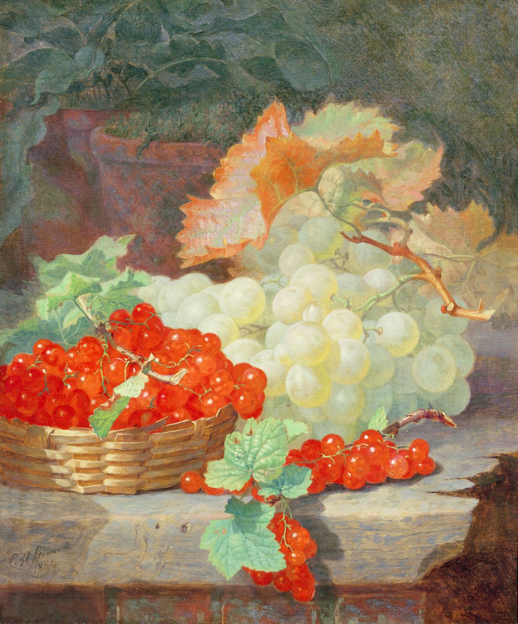 Frenk üzümü ve üzüm, 1864 by Eloise Harriet Stannard