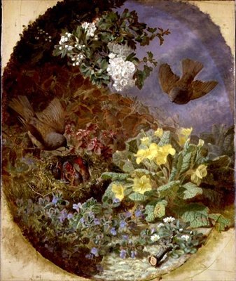 Yuvada Yavrularını Besleyen Çalı Kuşları (s. & d. 1876) by Eloise Harriet Stannard