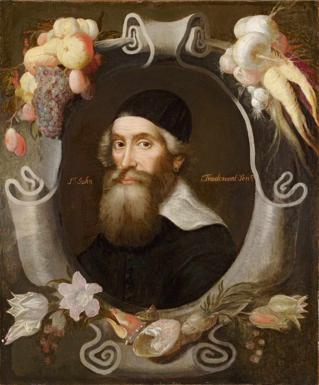 Yaşlı John Tradescant, 17. yüzyıl by Emanuel de Critz