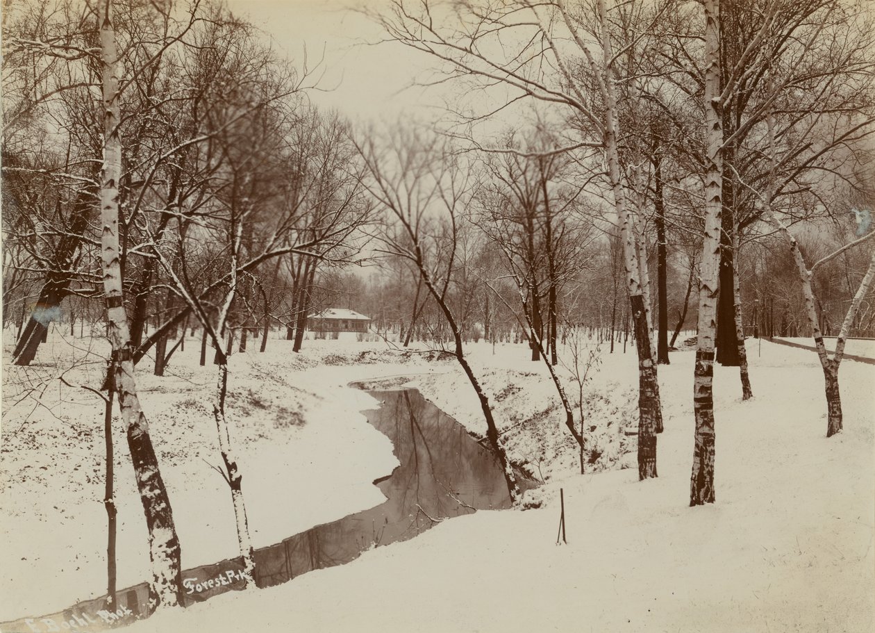 Orman Parkı